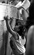 photographs of child