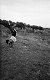 photographs of child